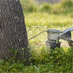 Изображение с примерами использования Изображение с примерами использования