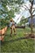 Изображение с примерами использования