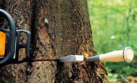 Ручной инструмент и принадлежности для работы в лесу STIHL