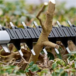 Изображение с примерами использования